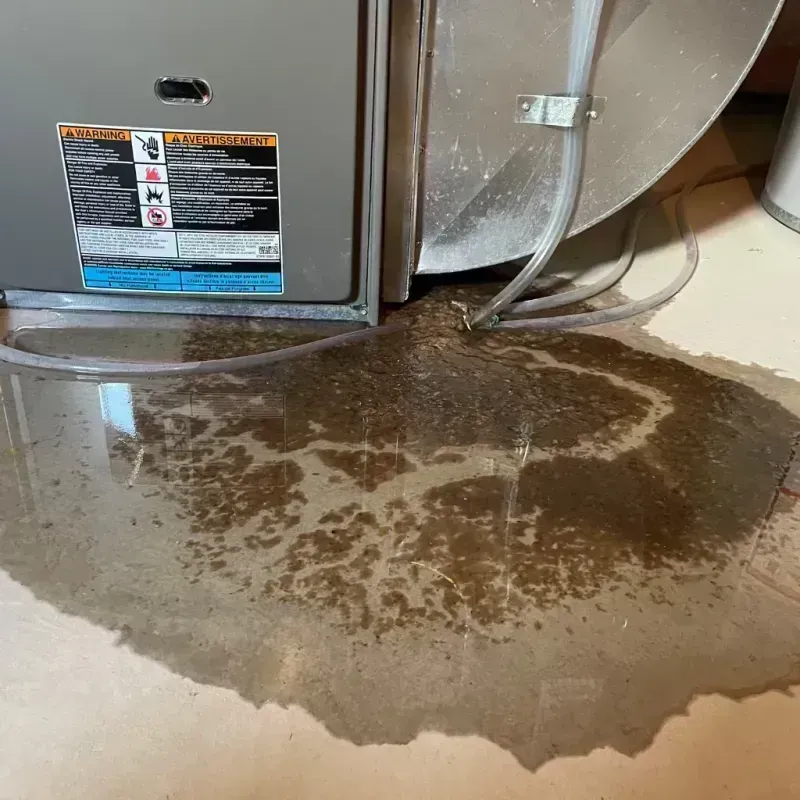 Appliance Leak Cleanup in Long Grove, IL